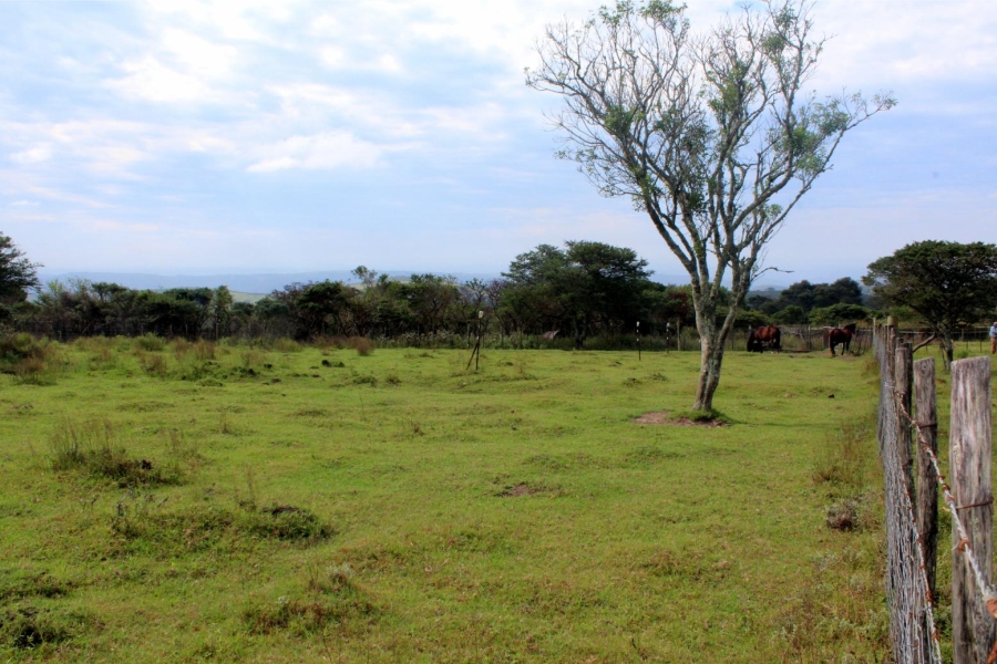 Commercial Property for Sale in Kei Mouth Eastern Cape